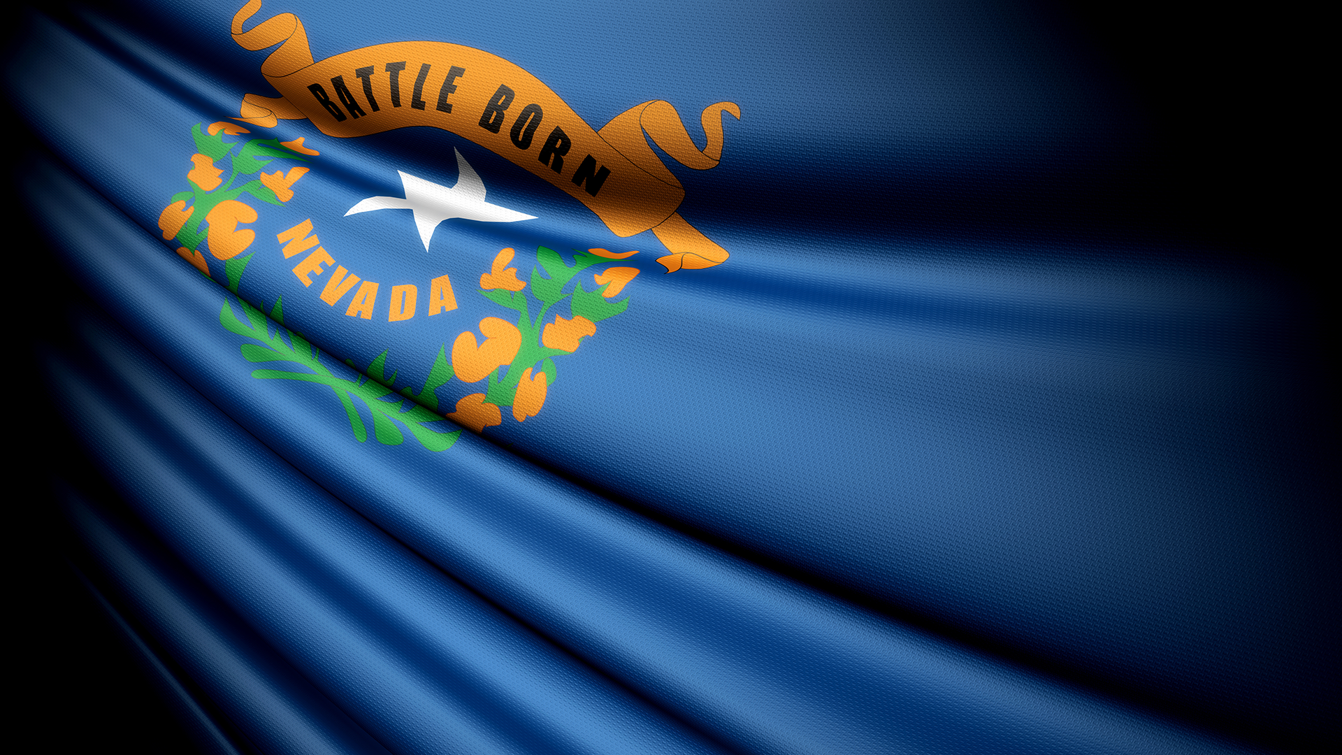 Image for State Surplus Program