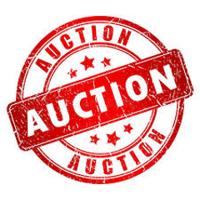 Image for Auction Info